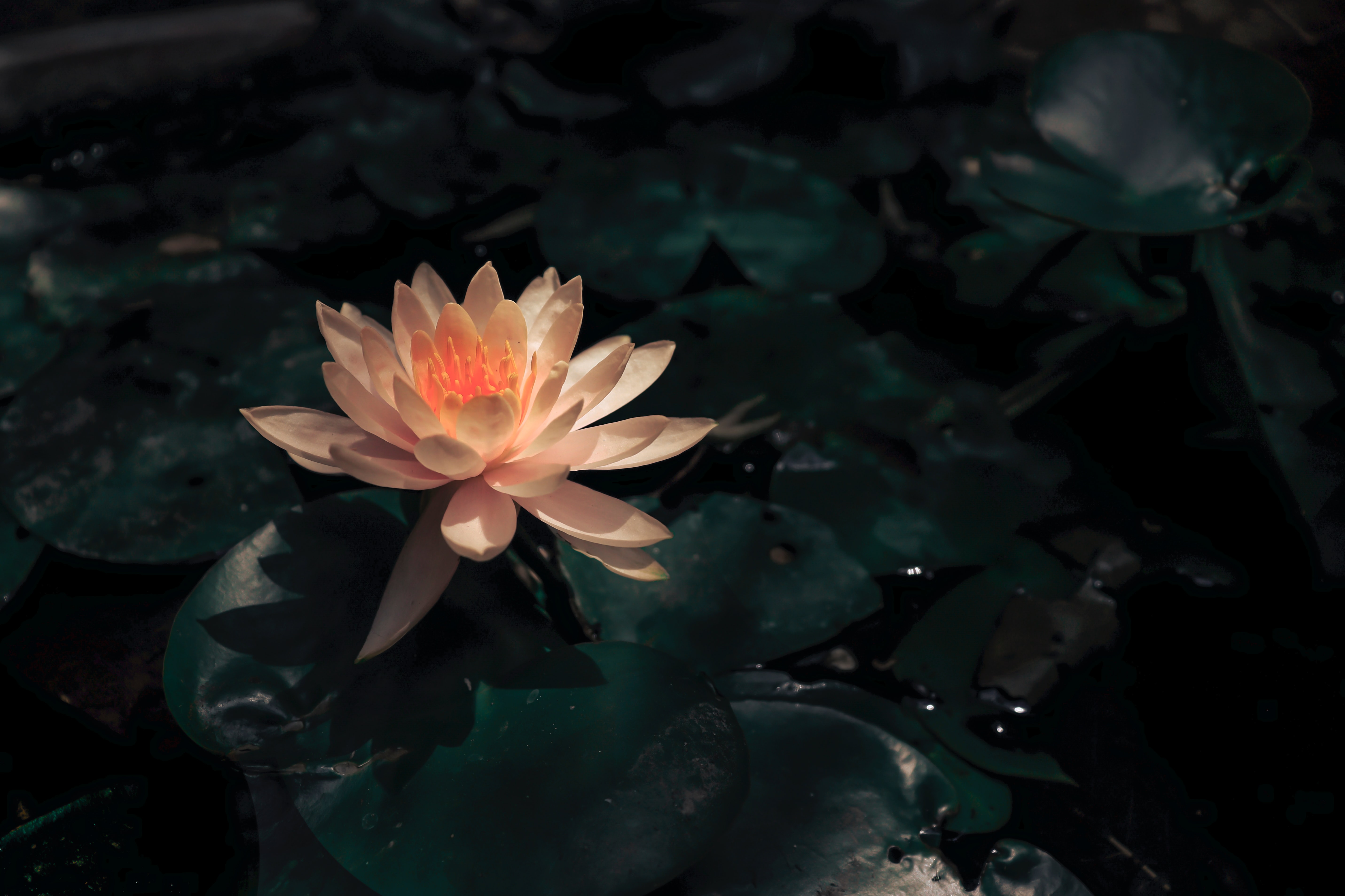A quiet meditation setting